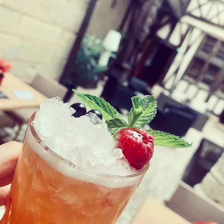 菲利普勒庞公馆城堡连锁酒店 第戎